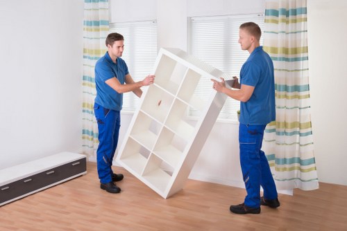 Professional mover loading boxes for a Tufnell Park relocation