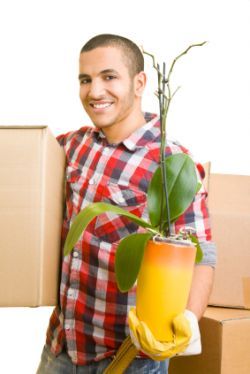 NW5 Packers and Movers N7